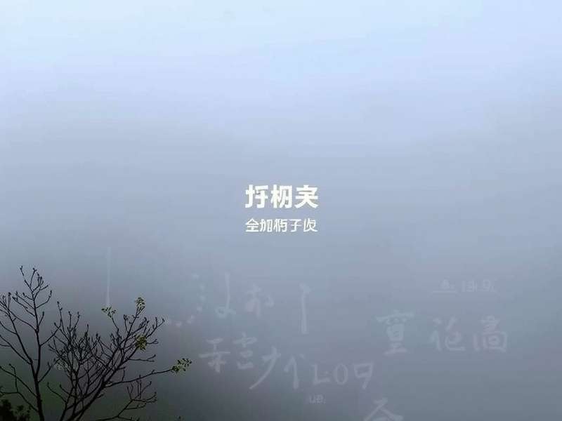 上海康益海洋工程团队